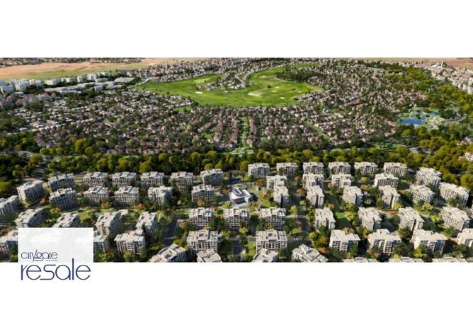 8047817 - صورة العقار 3