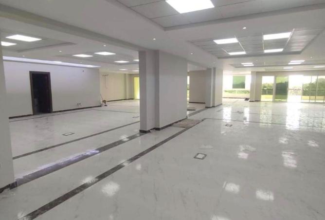 8520084 - صورة العقار 3