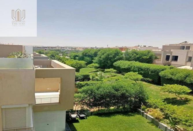 8331246 - Property Image 3