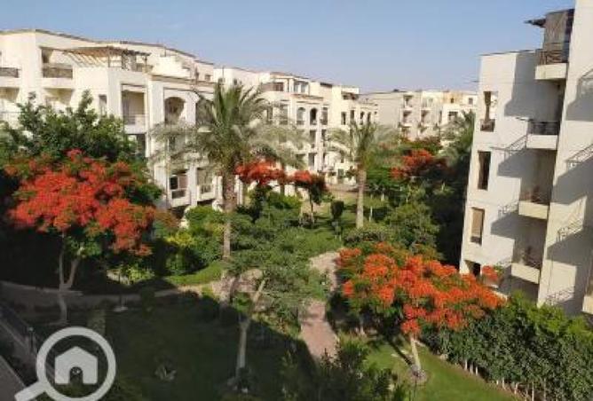 8277252 - Property Image 2