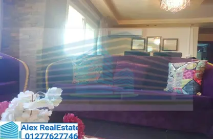 شقة - 2 غرف نوم - 1 حمام للايجار في طريق الجيش - كليوباترا - حي شرق - الاسكندرية