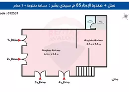 Shop - Studio - 1 Bathroom for rent in Mohammad Ngeeb Street - Sidi Beshr - Hay Awal El Montazah - Alexandria