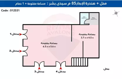 Shop - Studio - 1 Bathroom for rent in Mohammad Ngeeb Street - Sidi Beshr - Hay Awal El Montazah - Alexandria