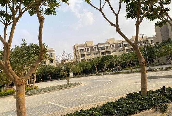 8380342 - Property Image 3