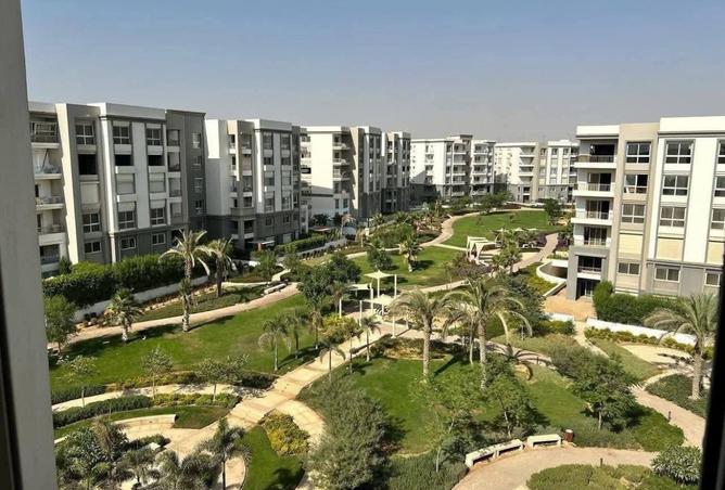 8166265 - Property Image 3