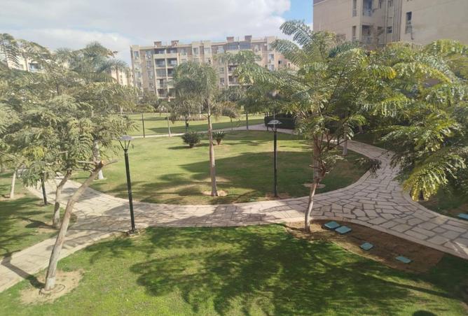 8496878 - Property Image 2