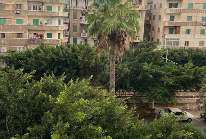 8137575 - صورة العقار 2