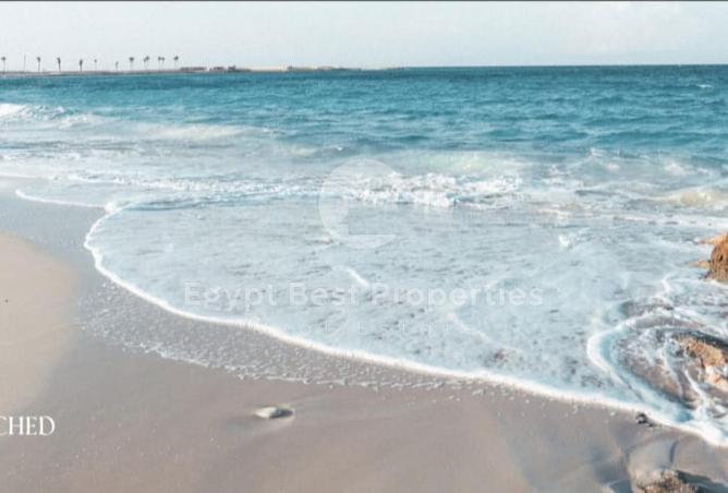 7925153 - صورة العقار 3
