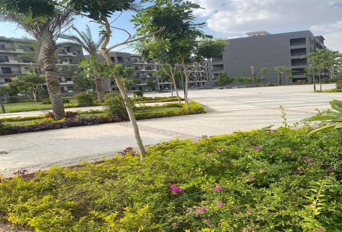8057072 - صورة العقار 3