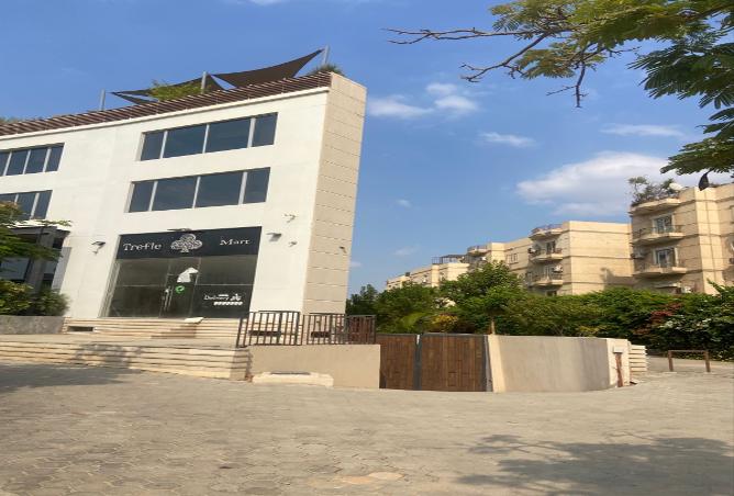 7987509 - صورة العقار 2