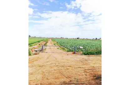 Farm - Studio for sale in Fayoum Desert road - 6 October City - Giza