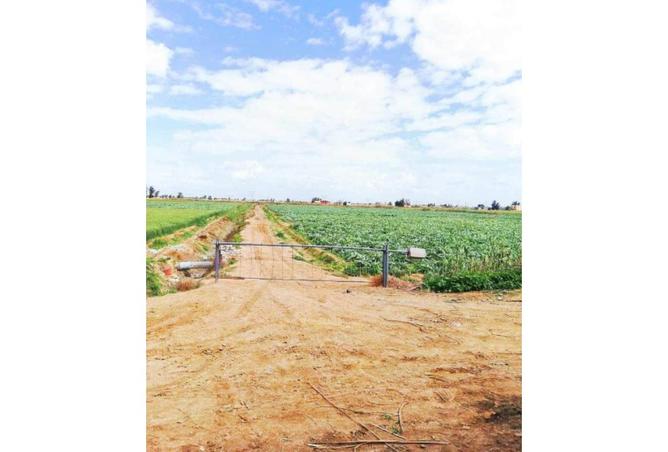 8220002 - صورة العقار 3