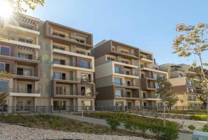 8293006 - Property Image 3