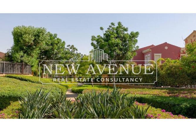 8360353 - Property Image 2