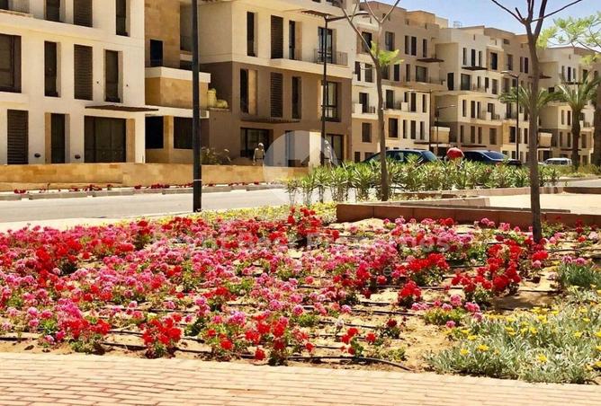 8367451 - Property Image 3