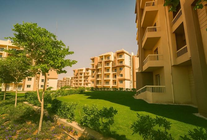 7985052 - صورة العقار 3