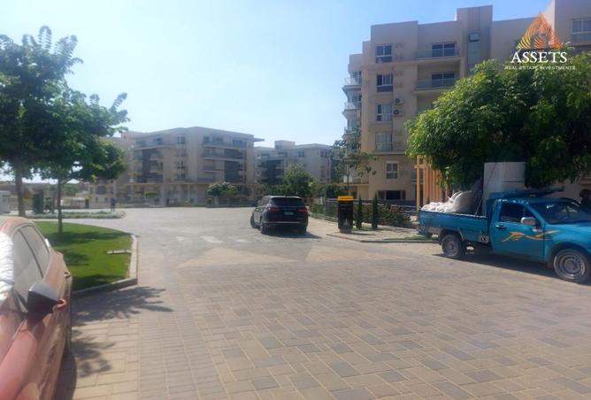 7976478 - Property Image 3