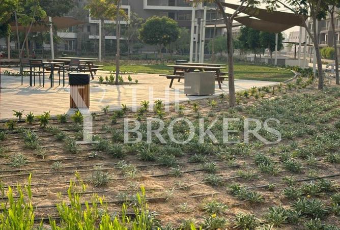 8224833 - Property Image 3