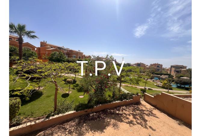 8303166 - Property Image 3