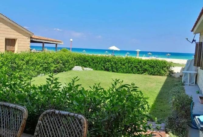 7909686 - صورة العقار 2