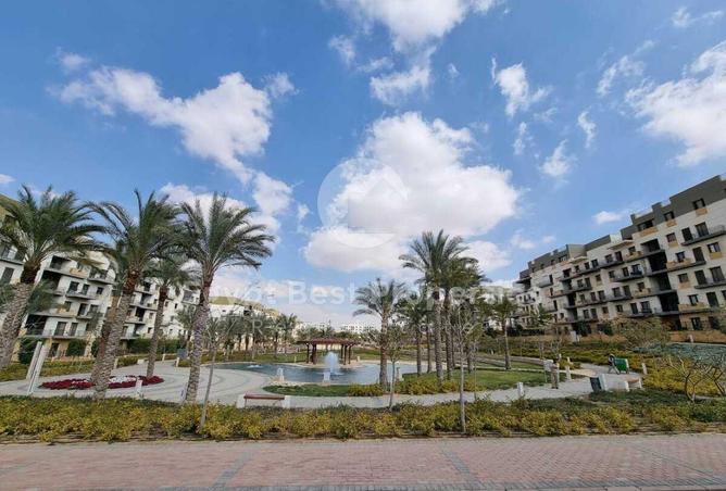 8367353 - Property Main Image