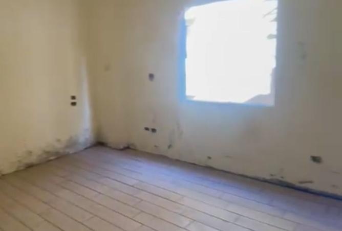 8025608 - Property Image 3