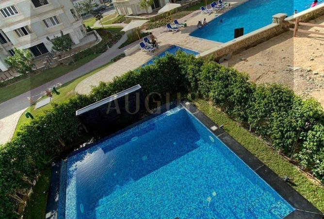 8303845 - Property Image 2