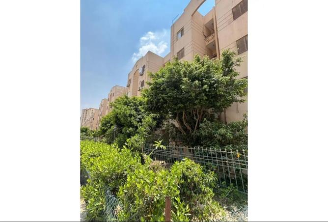 8379118 - صورة العقار 3