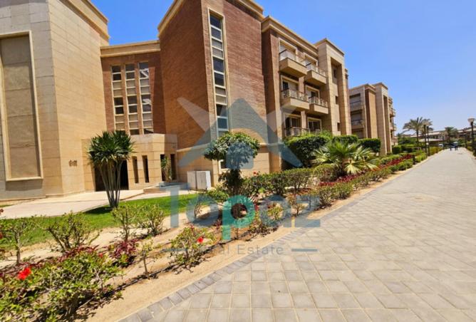 8136247 - صورة العقار 3
