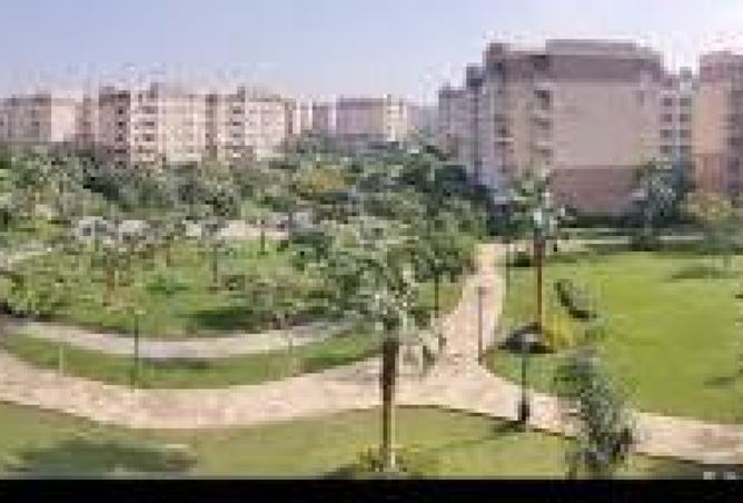 8441658 - صورة العقار 2