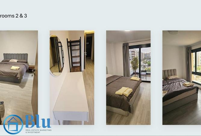 7900615 - Property Image 3