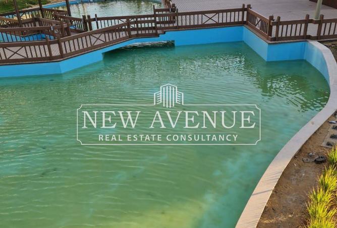 8338961 - Property Image 3