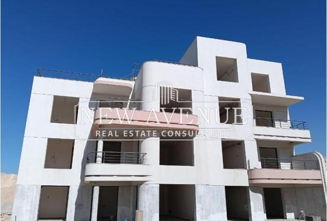 8041205 - الصورة الرئيسية للعقار