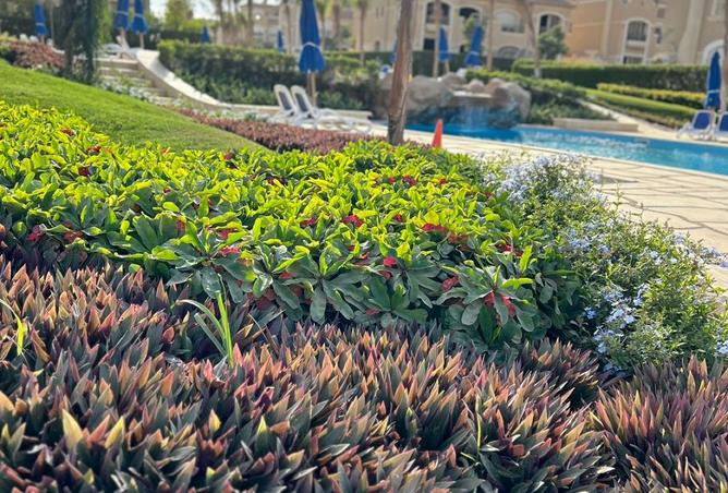 8178494 - صورة العقار 2