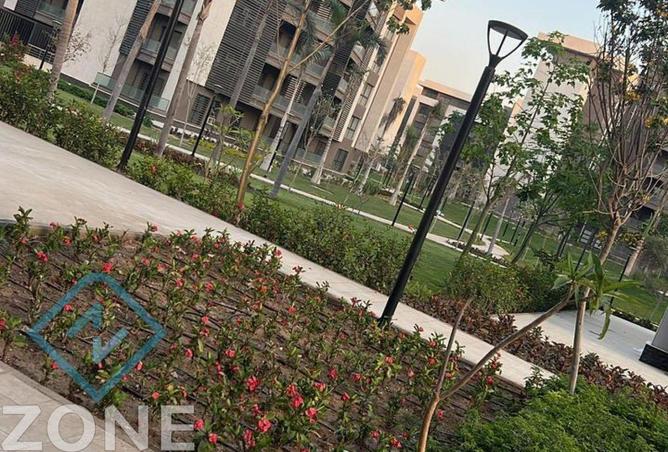 8146980 - صورة العقار 2