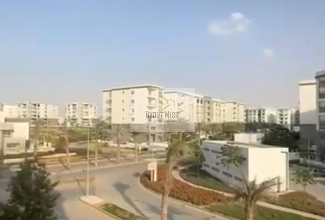 8188576 - Property Image 3