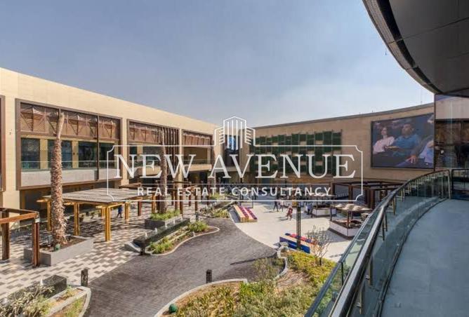 8292358 - Property Image 2