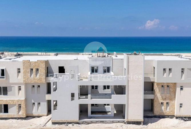 8133495 - صورة العقار 3