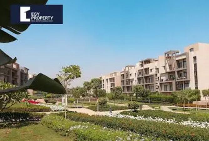 8164514 - صورة العقار 3