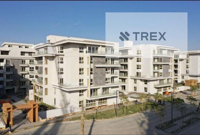 8331976 - Property Image 3