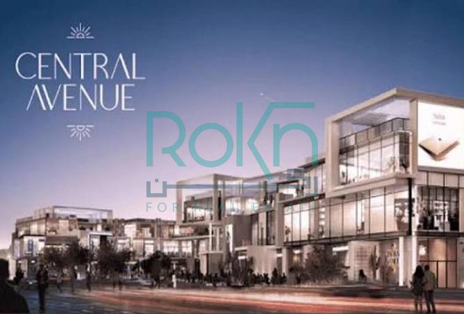 8217318 - Property Image 2