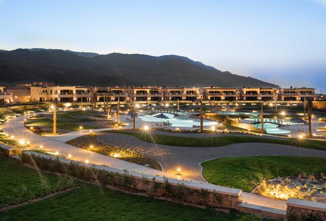 8265160 - Property Image 3