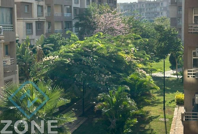 8110687 - Property Image 2