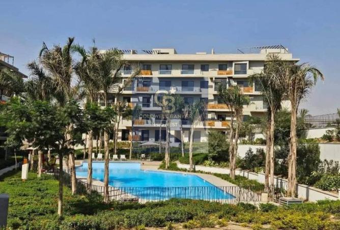 8464125 - Property Image 3