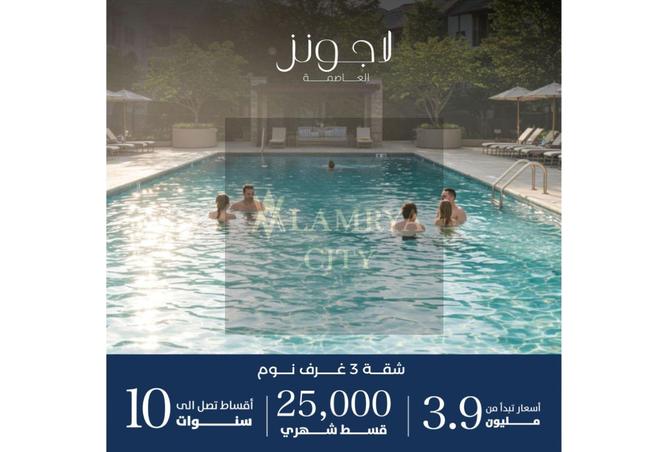 8090817 - Property Image 3