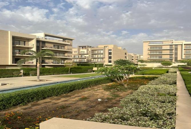 7996737 - صورة العقار 2