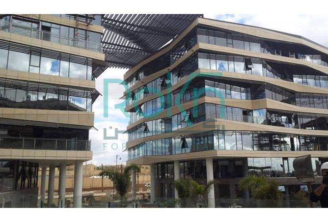 8396487 - Property Image 3