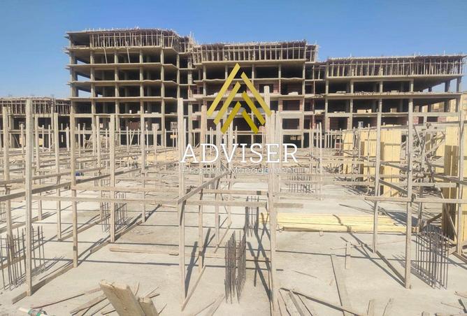 8245182 - Property Image 3