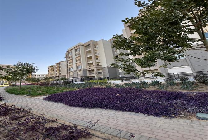 7988236 - صورة العقار 2