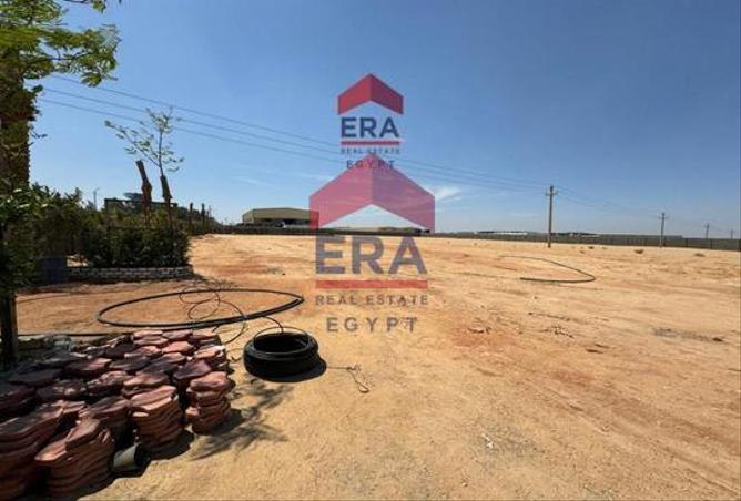 8208229 - صورة العقار 2